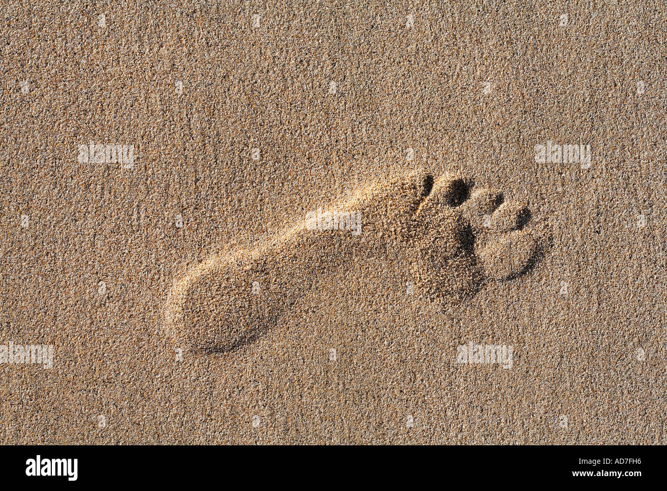Fußspuren Fußabdrücke in sandigen Strand Fuerteventura Kanarische Inseln Stockfoto
