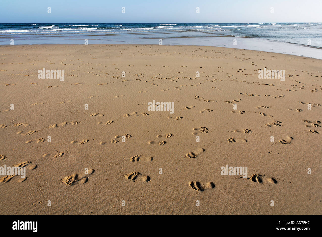 Fußspuren Fußabdrücke Playa de Sotavento Jandia Fuerteventura Kanarische Inseln Stockfoto