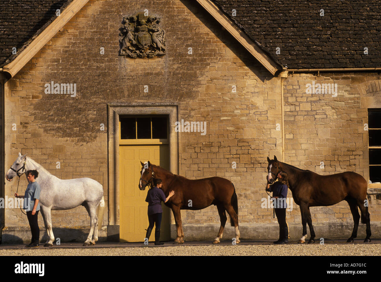 Duke of Beaufort Hunt Badminton Anwesen Gloucestershire Stallmädchen Parade Pferde vor dem Treffen 1990er HOMER SYKES Stockfoto