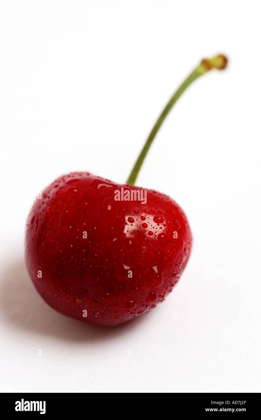 Eine rote Kirsche hautnah Stockfoto