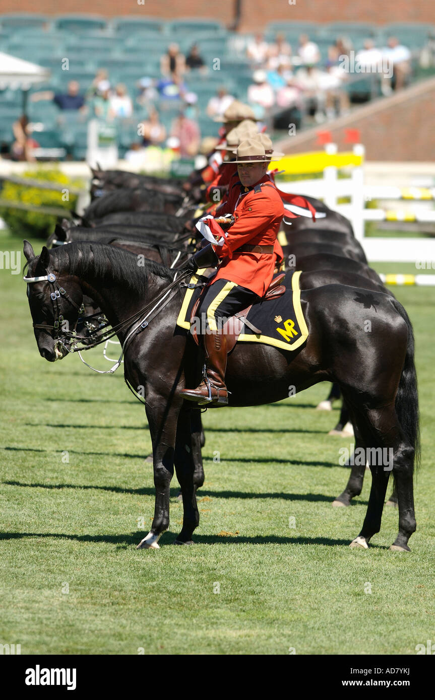 Königliche kanadische berittene Polizei RCMP Musical Ride Stockfoto