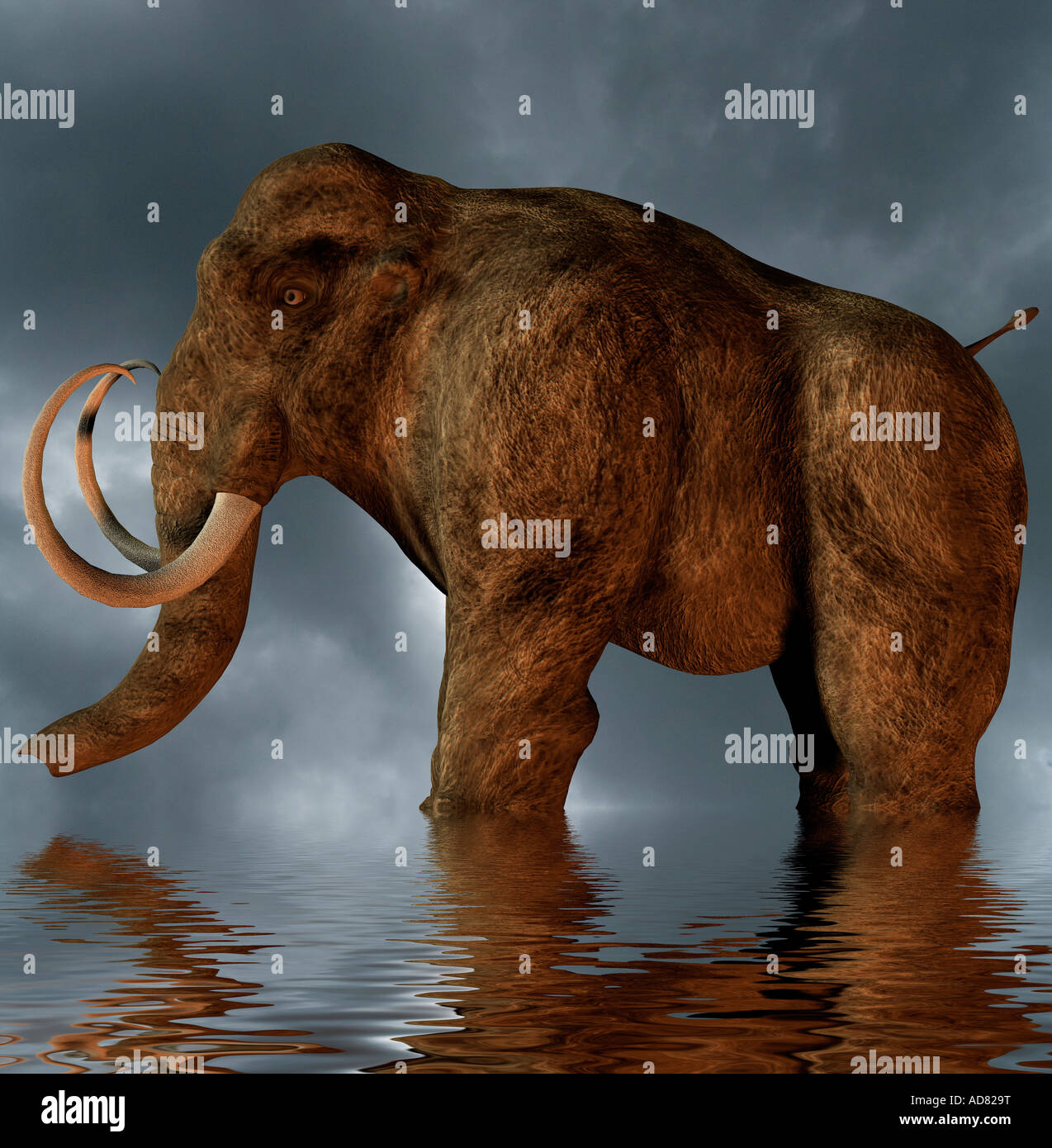 computergenerierte Konzept eines prähistorischen Mastodon Tieres in einem flachen See Stockfoto