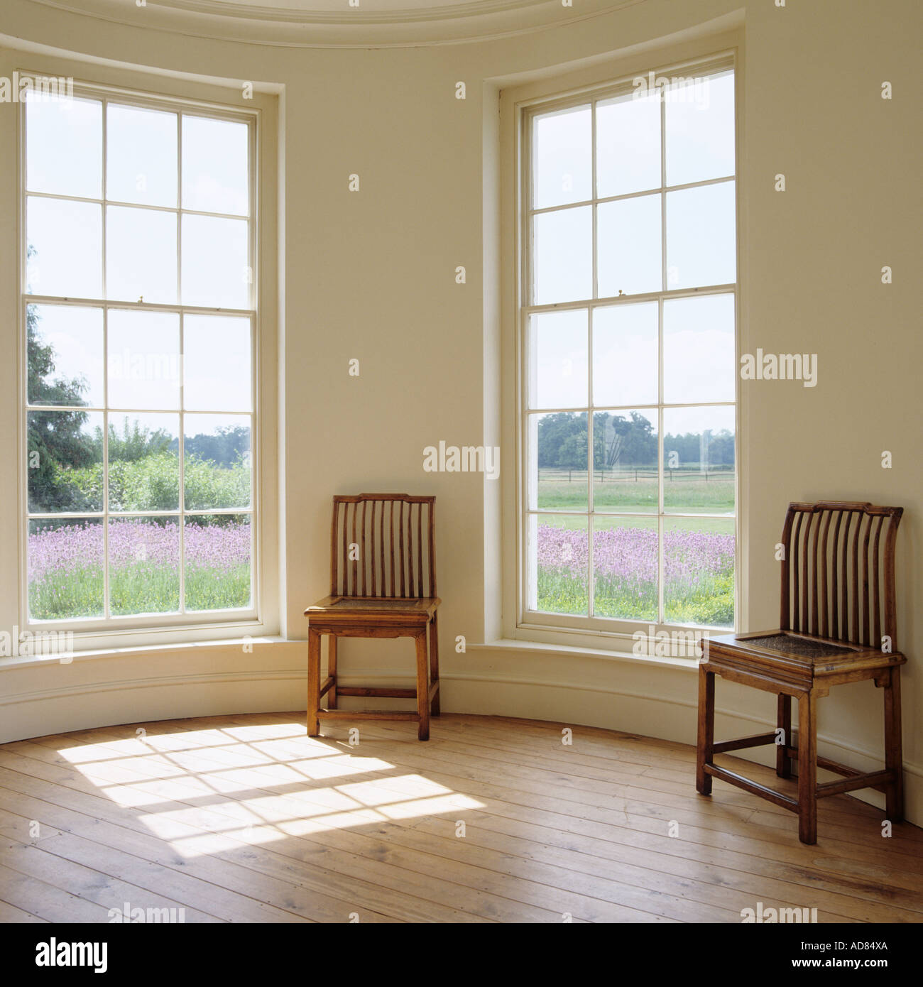 Blick auf die Lavendelfelder von einem leeren Raum mit holzverkleideten Fenstern Stockfoto