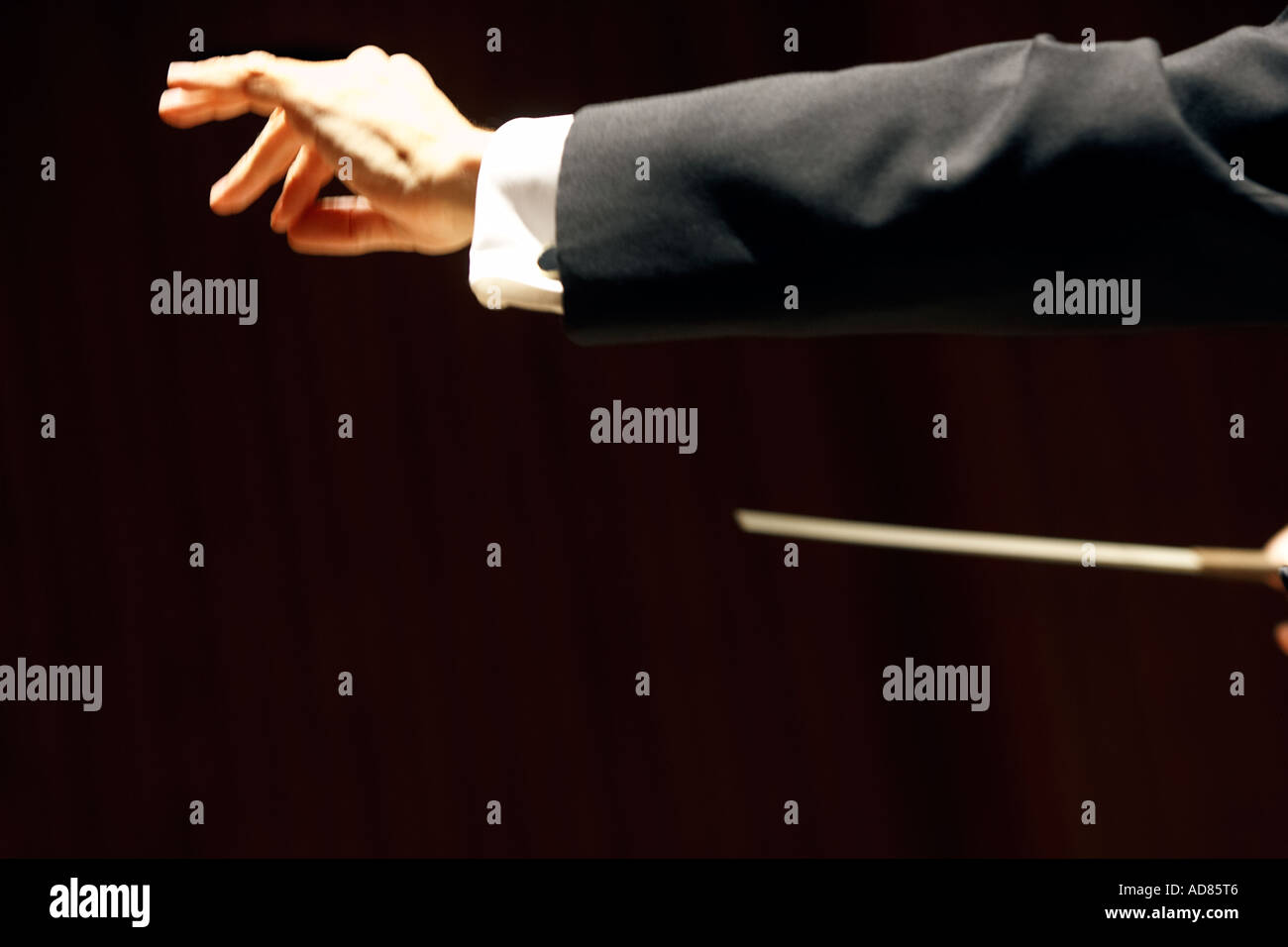 Orchester Dirigenten Hand und Bogen Orchester Kunstperformance Kunst darstellende Kunst Performancekunst klassische Musik Stockfoto