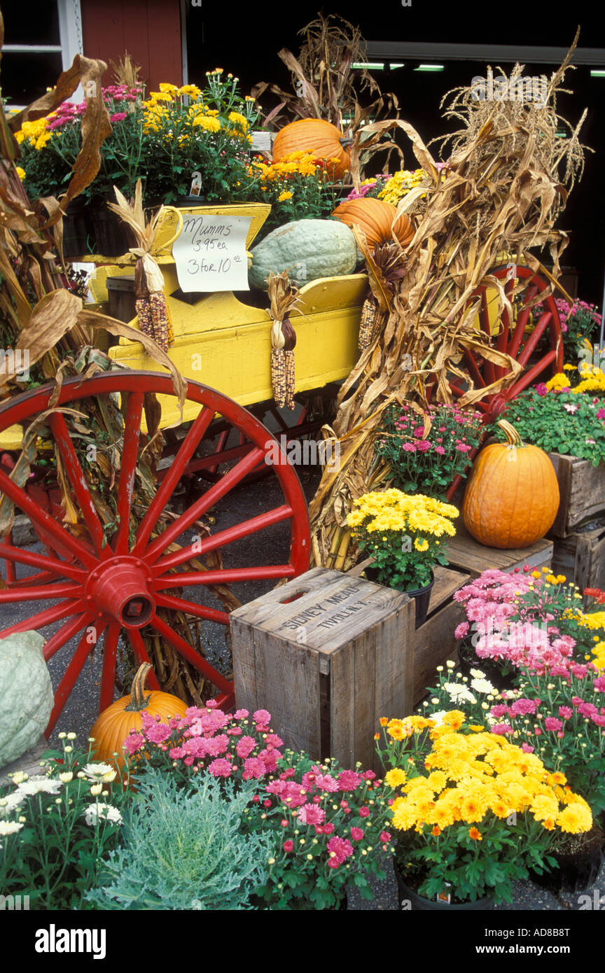 AM STRAßENRAND BAUERNMARKT IN DER NÄHE VON ASPECTUCK, CONNECTICUT. FALLEN. Stockfoto