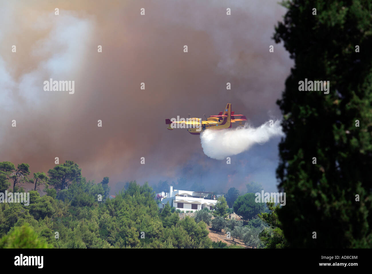 SPORADEN SKIATHOS INSEL GRIECHENLANDS KAMPF GEGEN EINEN WILDEN WALD FEUER AM 12. JULI 2007 Stockfoto