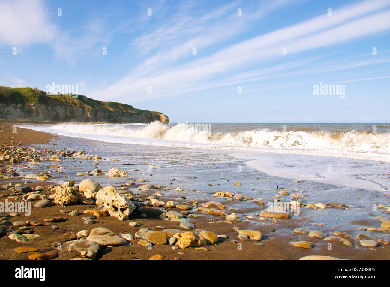 Weißdorn Hive Strand, Co Durham, Großbritannien Stockfoto