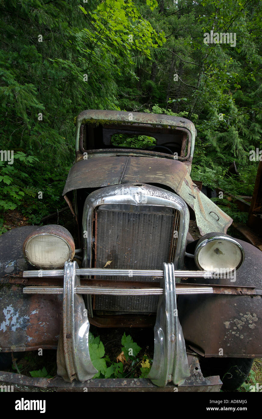 Alte verlassene Kraftfahrzeug wird langsam durch den Wald freigegeben. Stockfoto