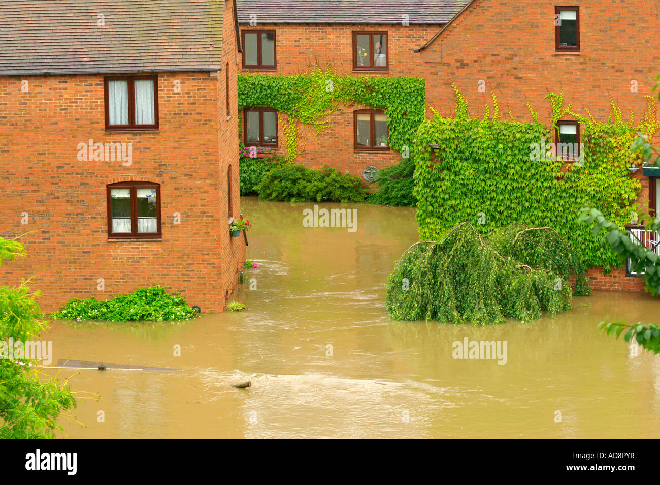 Überfluteten Haus, Fluss Ouse, Yorkshire September 2008 Stockfoto