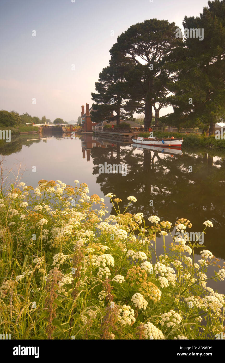 Doppelschleusen Kanal Exeter Devon UK Stockfoto