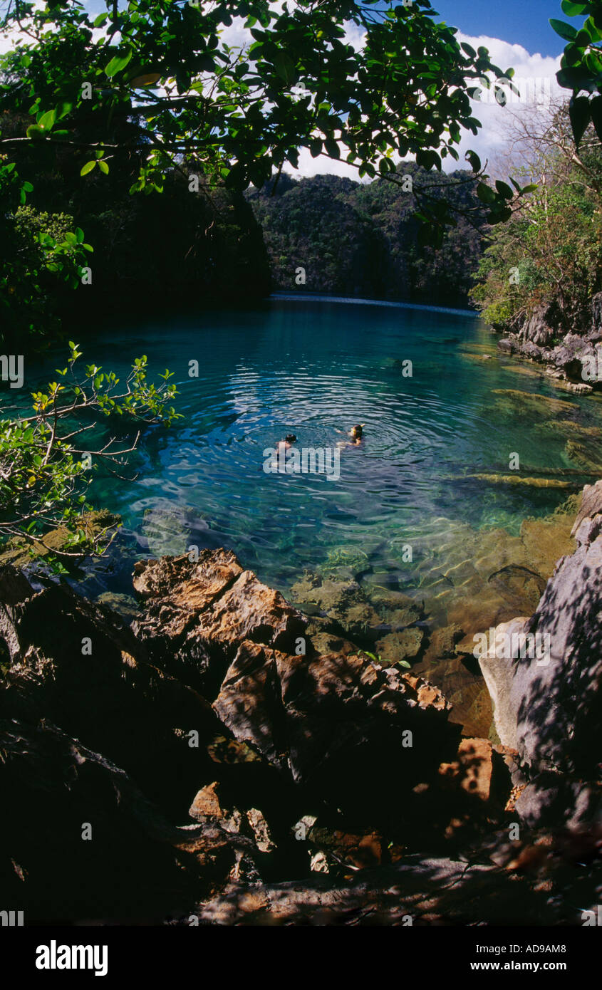 Schnorcheln am See Cayangan. Coron Island, Palawan, Philippinen. Einen zauberhaften See, der zum Baden locken. Stockfoto