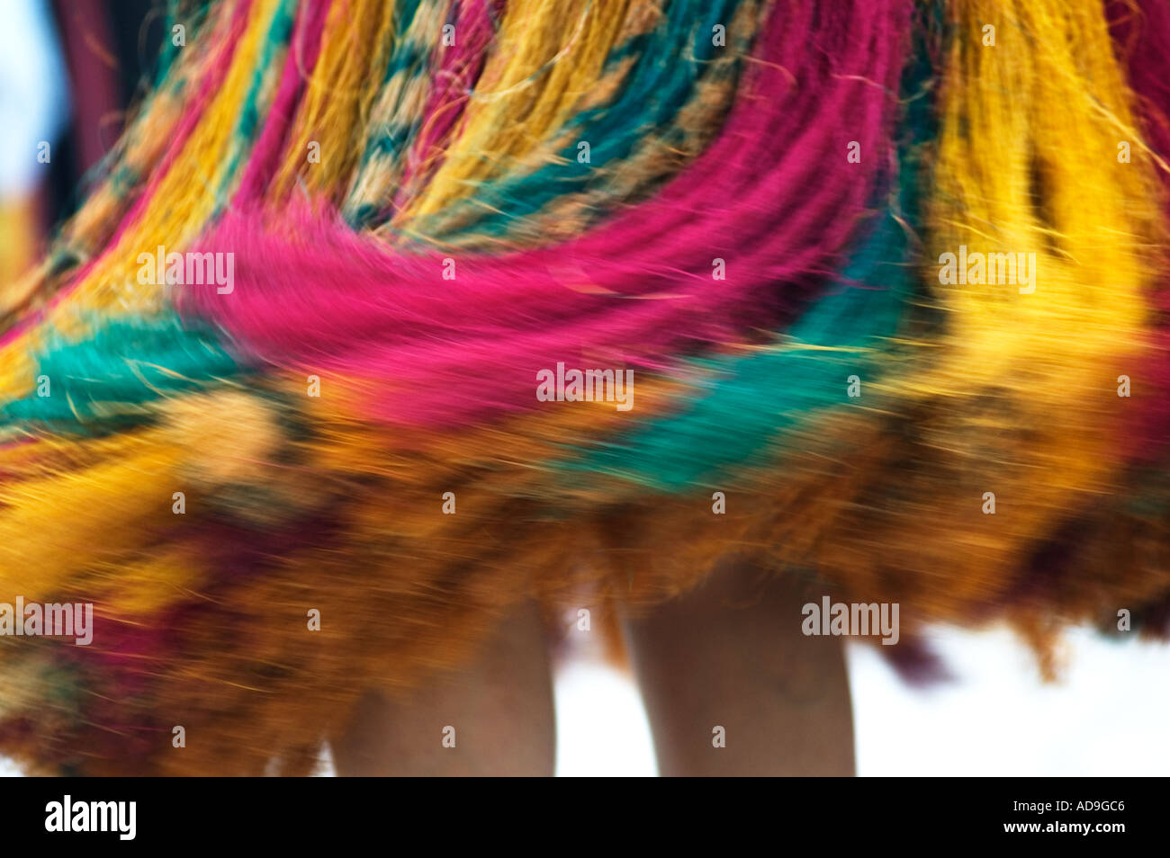 Holzfaser-Grass Röcke der Papua Niu Guinea Tanzgruppe am ersten Personen Festival DCSA 5147 gefärbt Stockfoto