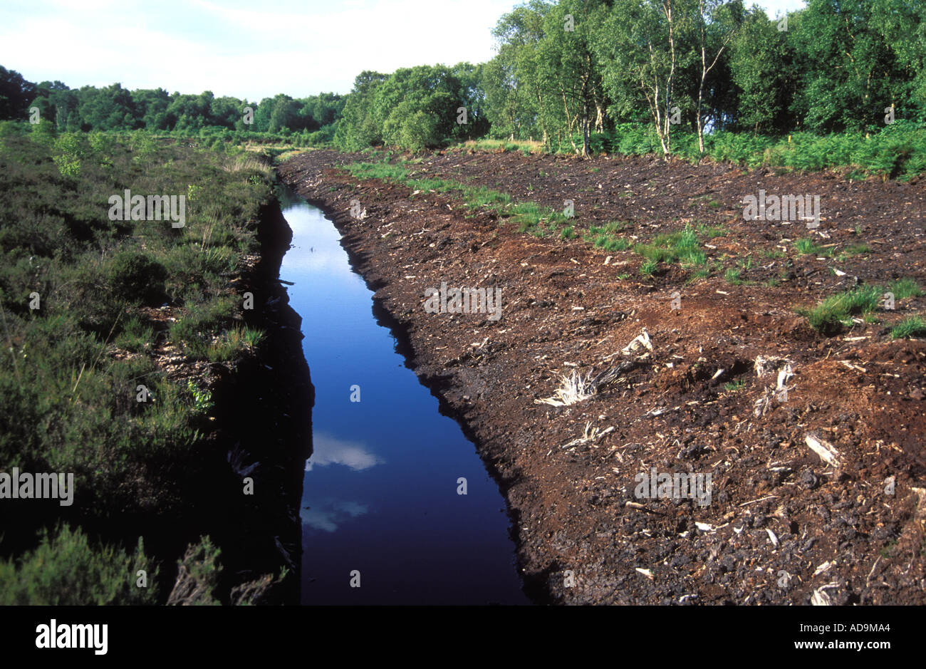 Lindow Moos Wilmslow, Cheshire England UK Stockfoto