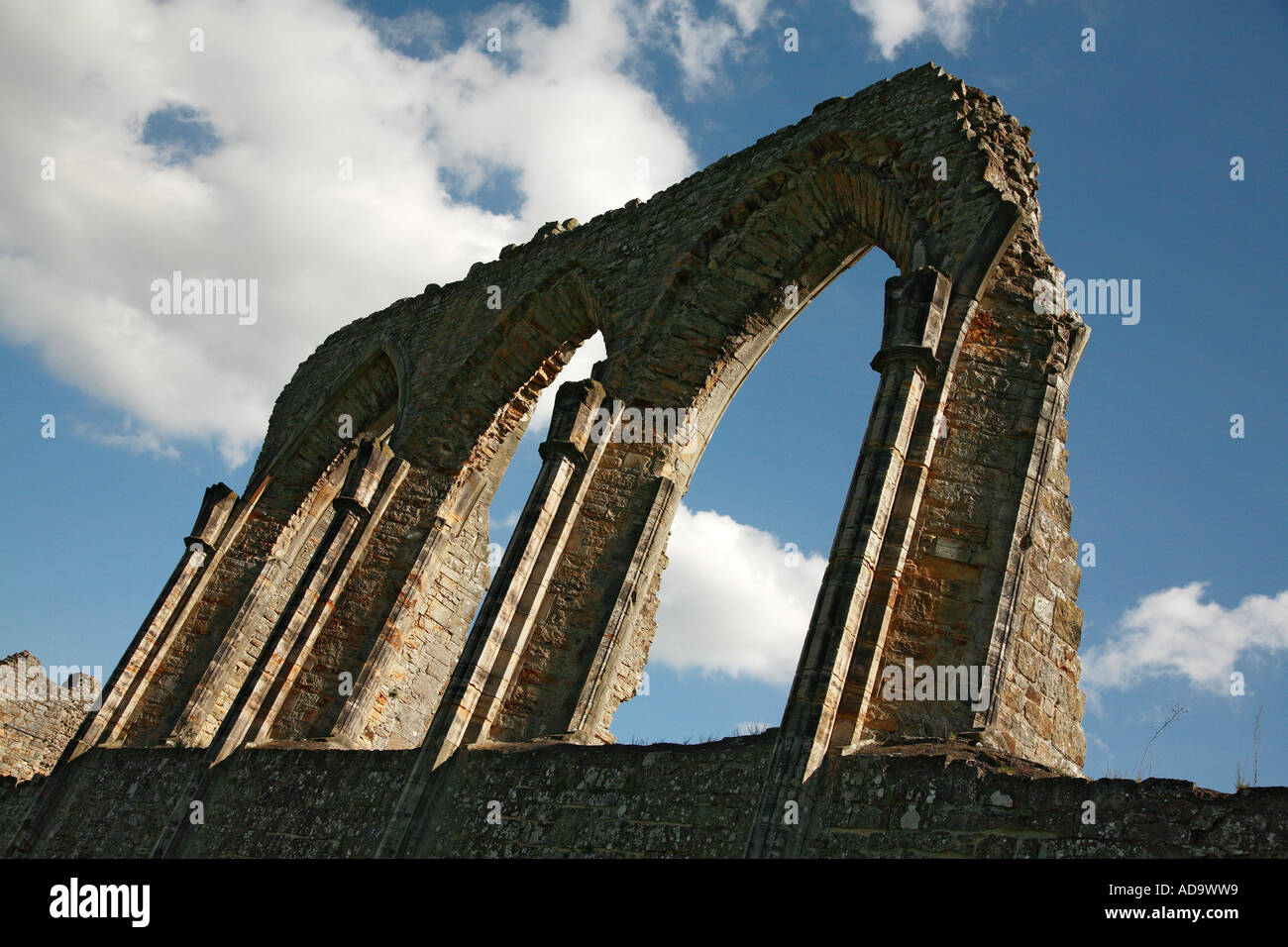 Bayham Abbey Ruinen Kent Weald wölbt sich gotische Kathedrale Fenster Stockfoto