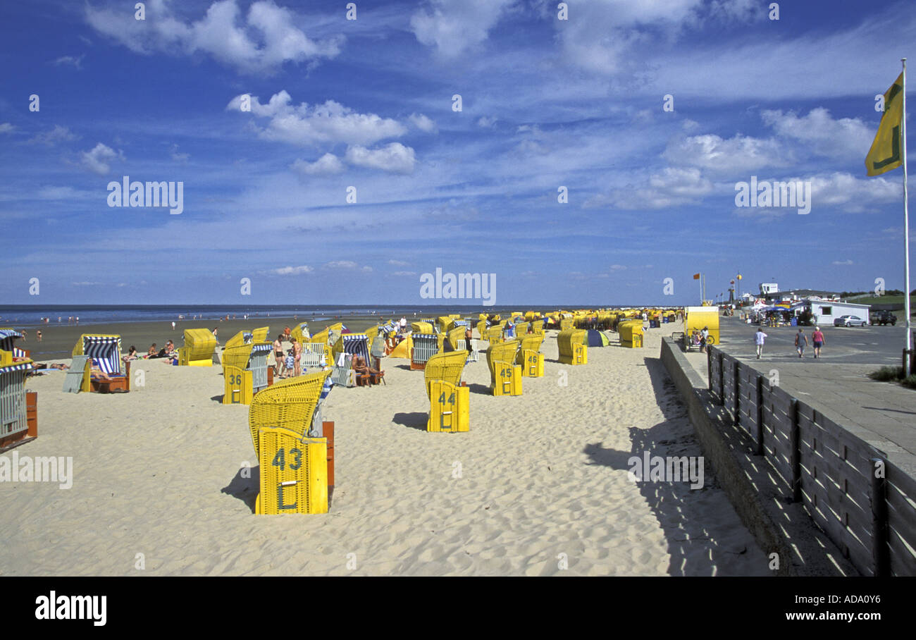 – Dein Weg zum Erfolg und zur Freude!