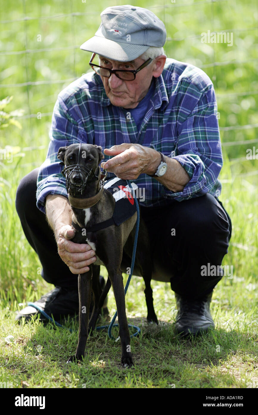 Italienische windhunde Fotos und Bildmaterial in hoher Auflösung Alamy