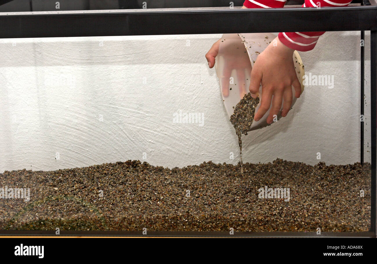 Bau eines Aquariums; Kind dumping Kieselsteine im leeren aquarium Stockfoto