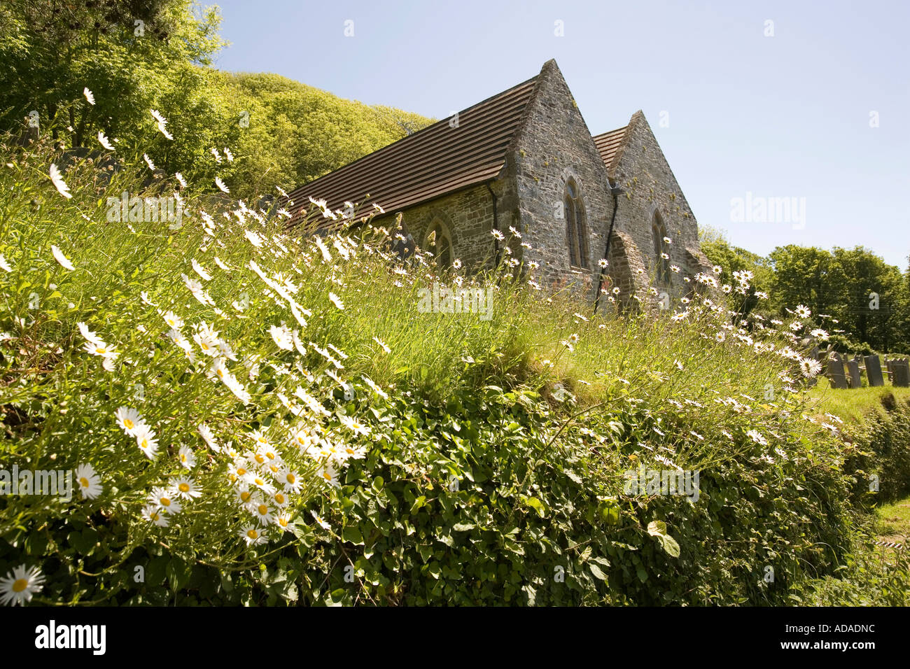 Wales Carmarthenshire Saint Ishmaels Church Blume gefüllt Kirchhof Stockfoto