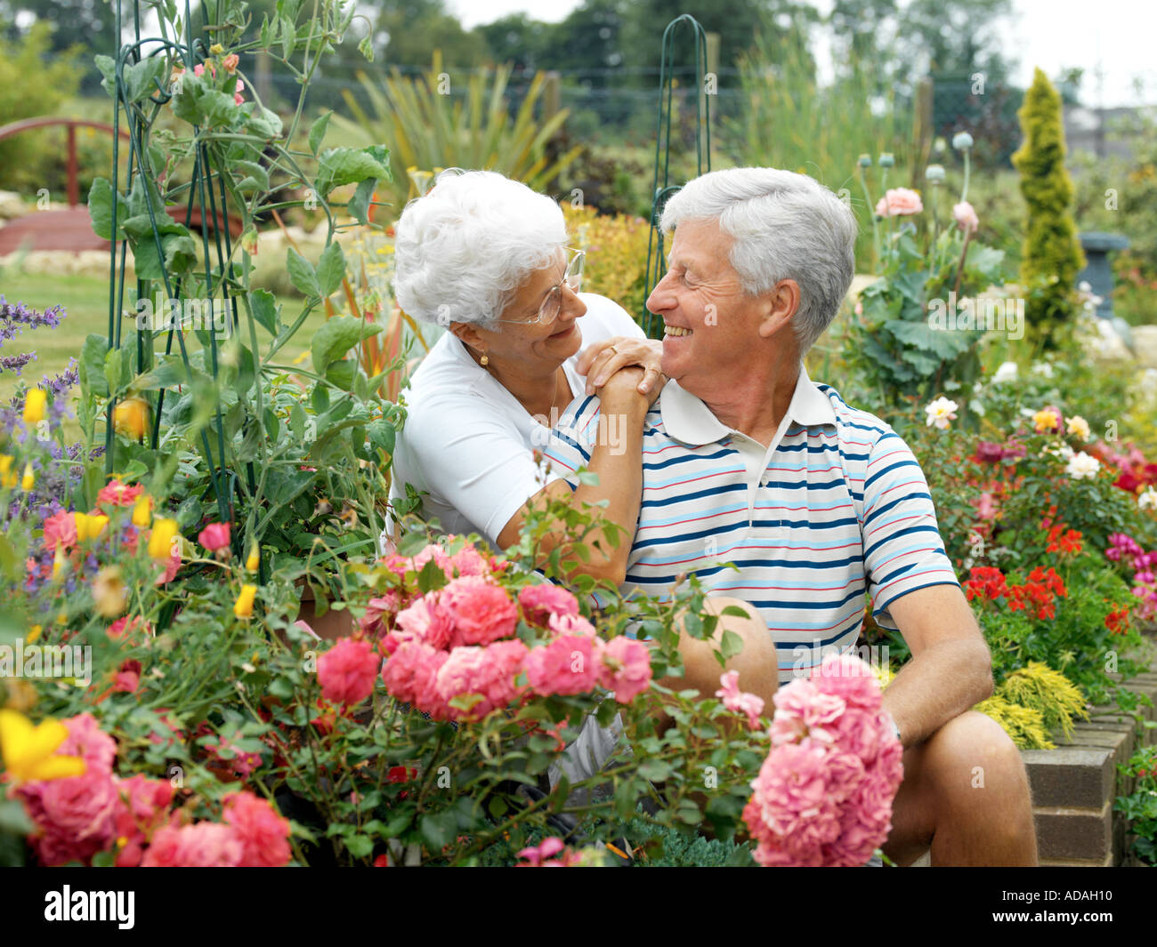 B0030P 0231 Stockfoto