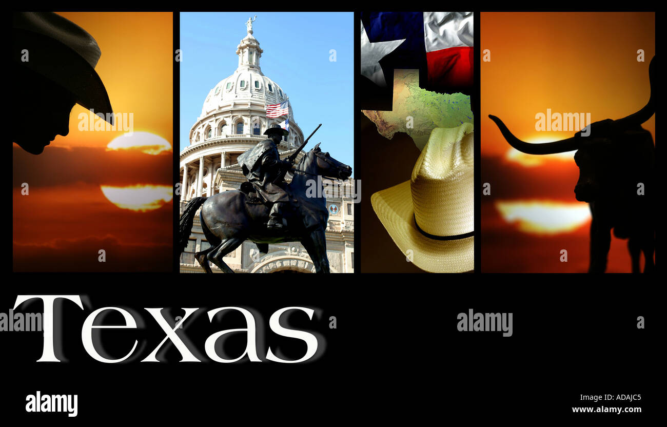 Zeichen Symbole des Staates Texas Texaner State Capitol Austin Longhorn Cowboys Stockfoto