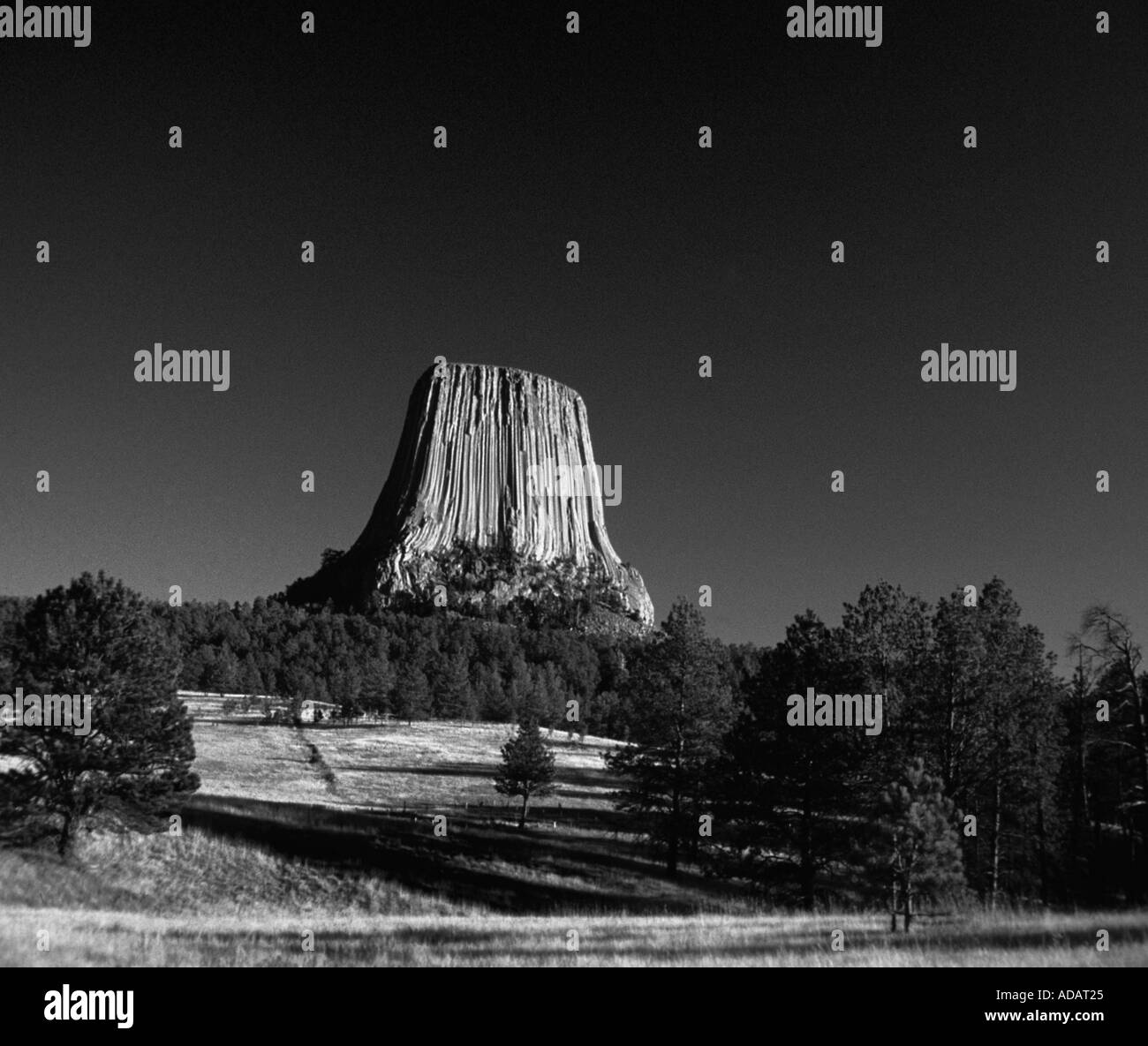 Devils Tower eine Spalte Gestein vulkanischen Ursprungs in der Nähe von Sundance in Wyoming USA Stockfoto