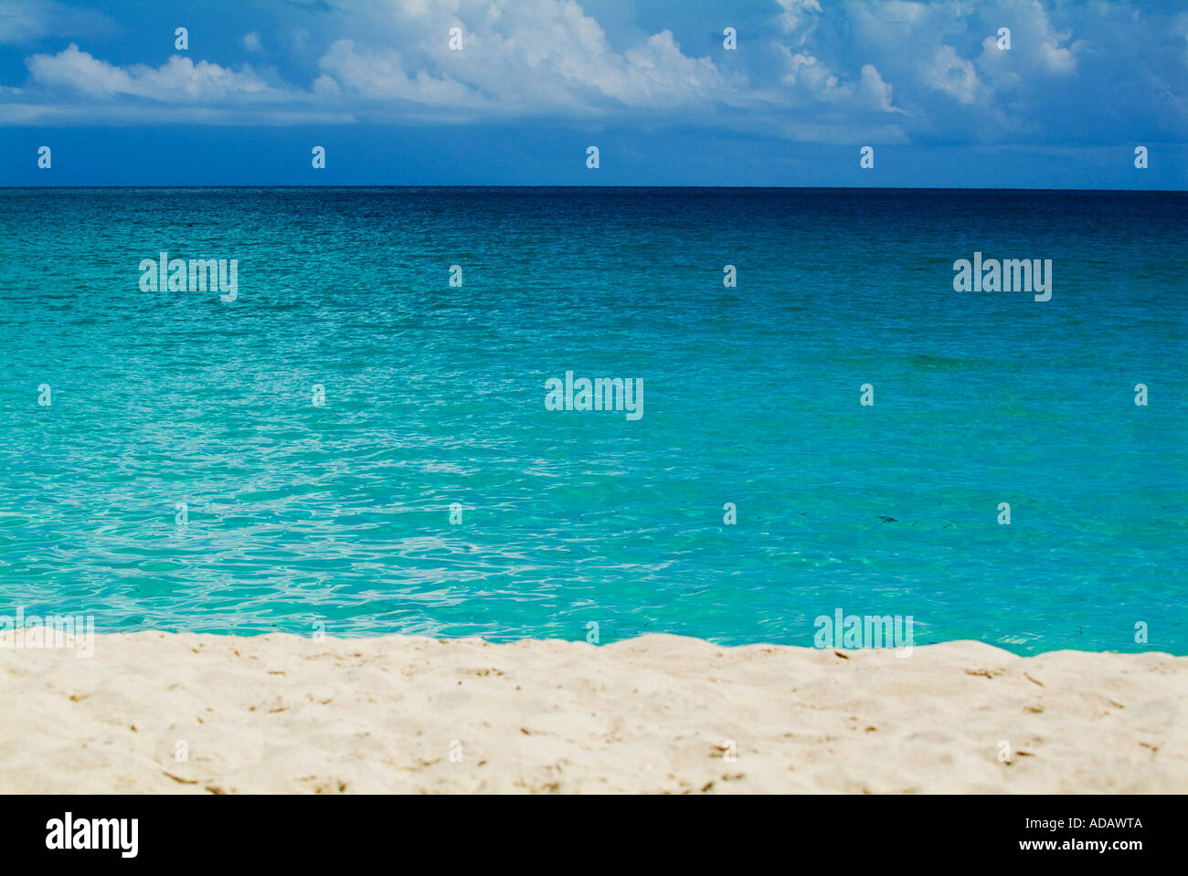 Schöne durchsichtige Wasser und tropischen Sandstrand Stockfoto