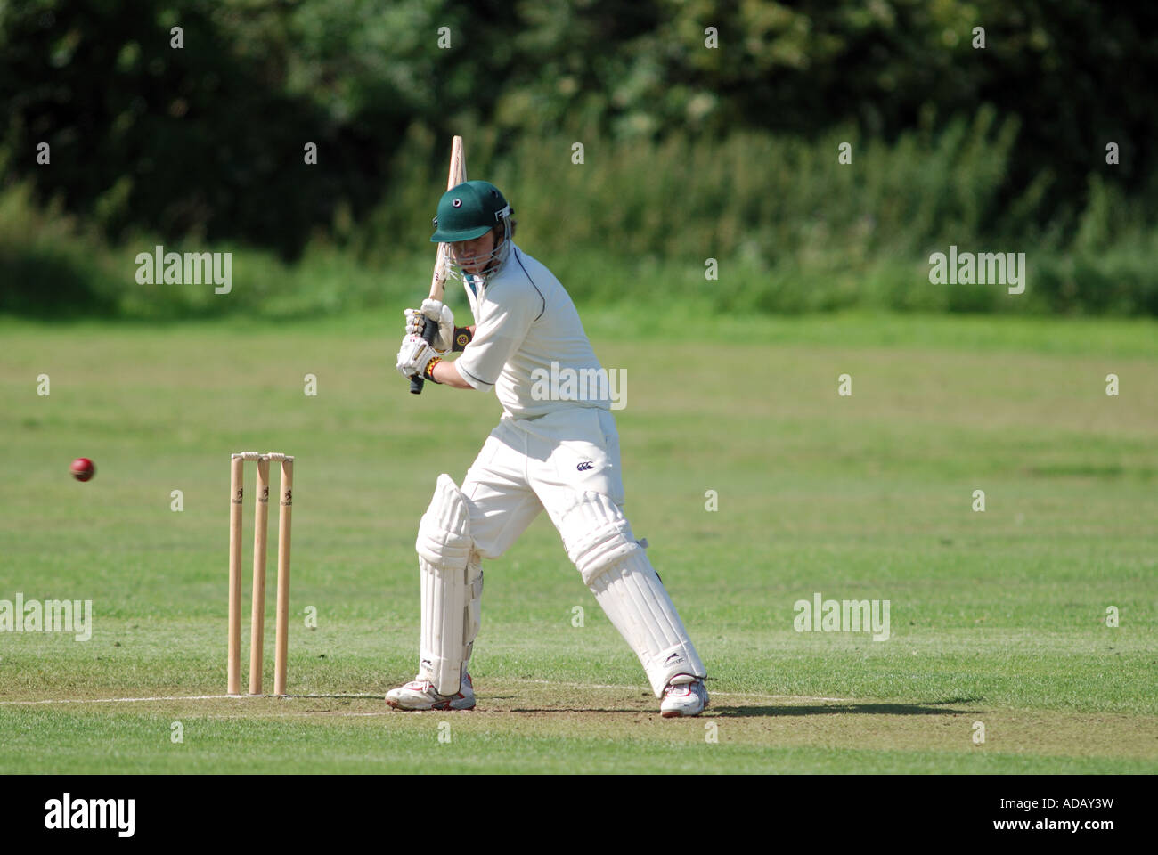 Schlagmann im Dorf Cricket match Elmley Burg, Worcestershire, England, UK Stockfoto