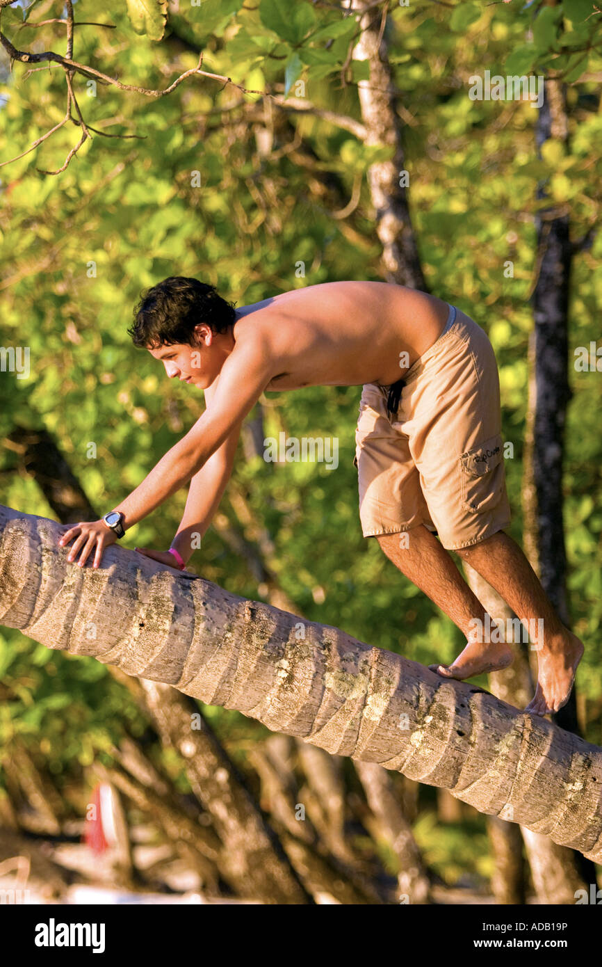 junge klettern einer schiefen Palme Stockfoto