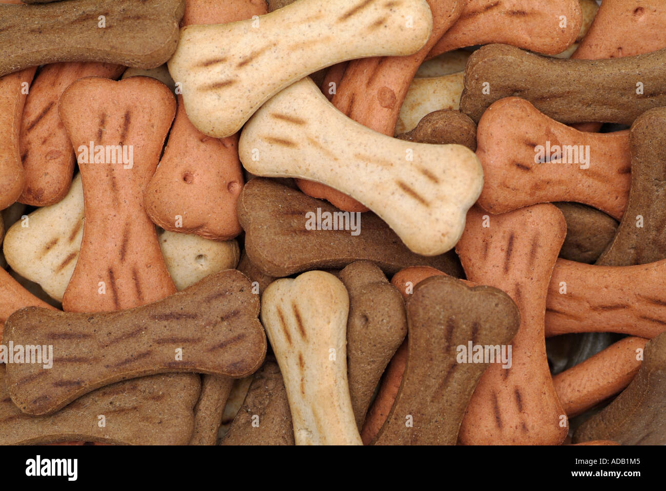 Hundekuchen Stockfoto