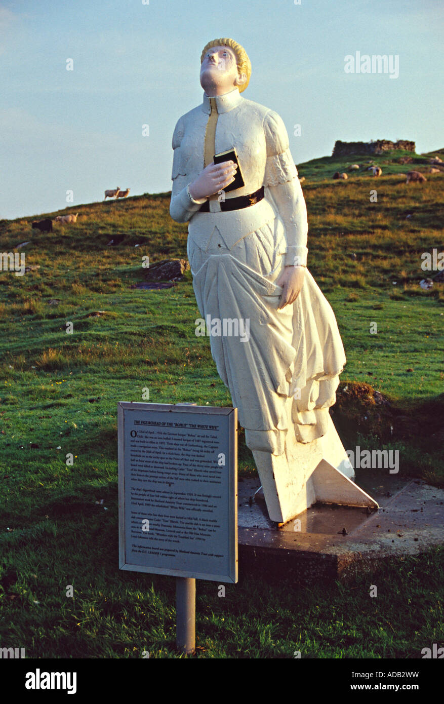 weiße Frau oder Dame Otterswick Insel schreien Shetland Schottland uk gb Stockfoto