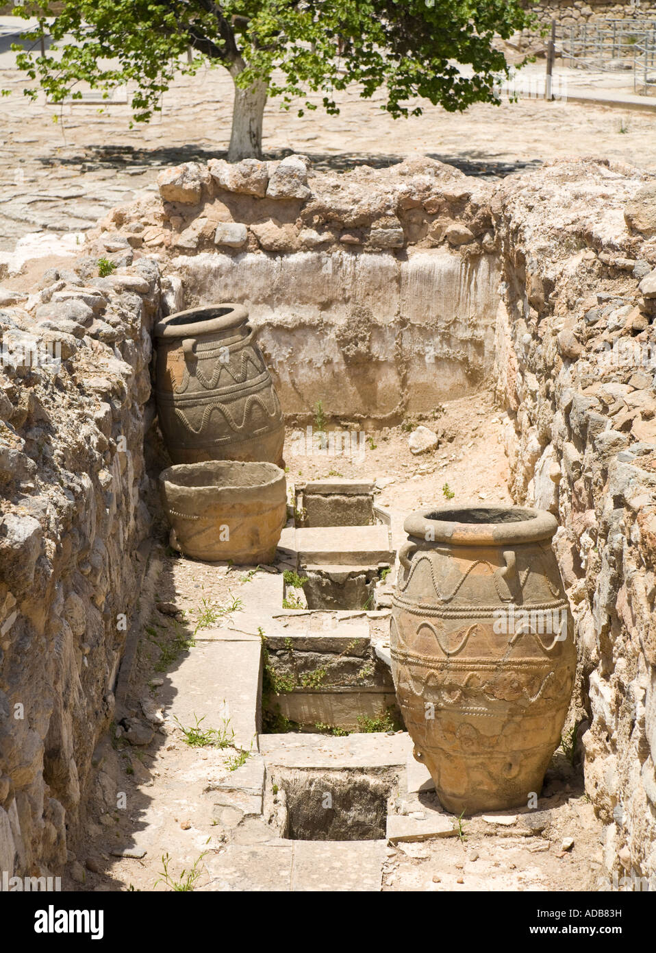 Große alte Pithoi, Amphoren, an der minoischen Ausgrabungsstätte von Knossos ähnlich / Crete / Griechenland Stockfoto