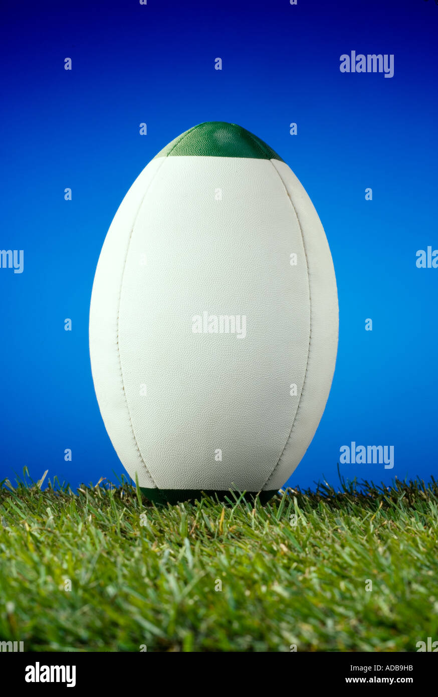 Rugby-Ball auf dem Rasen Stockfoto