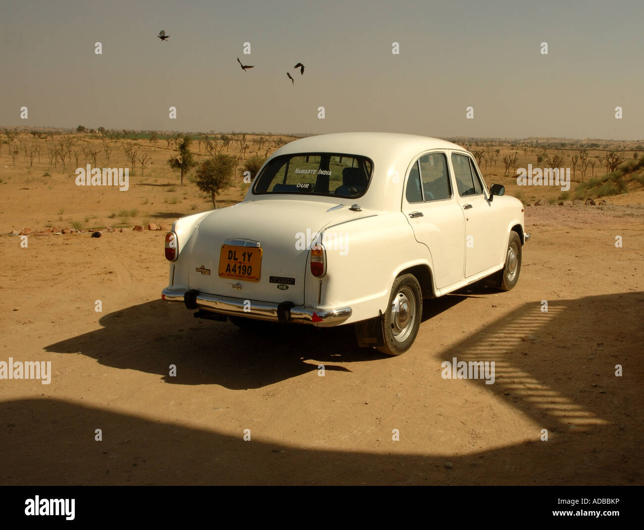 White Classic indische Botschafter Auto in der Wüste mit Vögel schwärmen über Kopf Stockfoto
