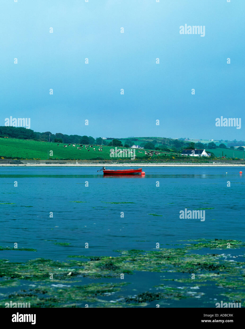 rotes Boot verankert in Küsten Meeresarm an der irischen Küste, Stockfoto