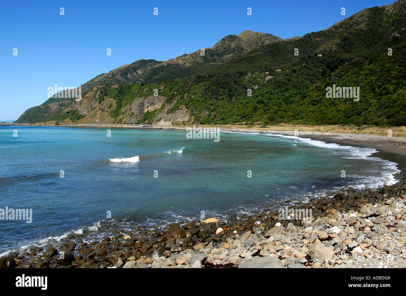 Pebble Beach Ostküste Südinsel Neuseeland Stockfoto