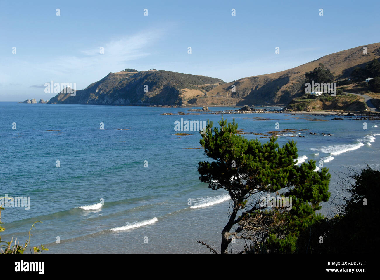 Nugget Point Catlins Südinsel Neuseeland Stockfoto