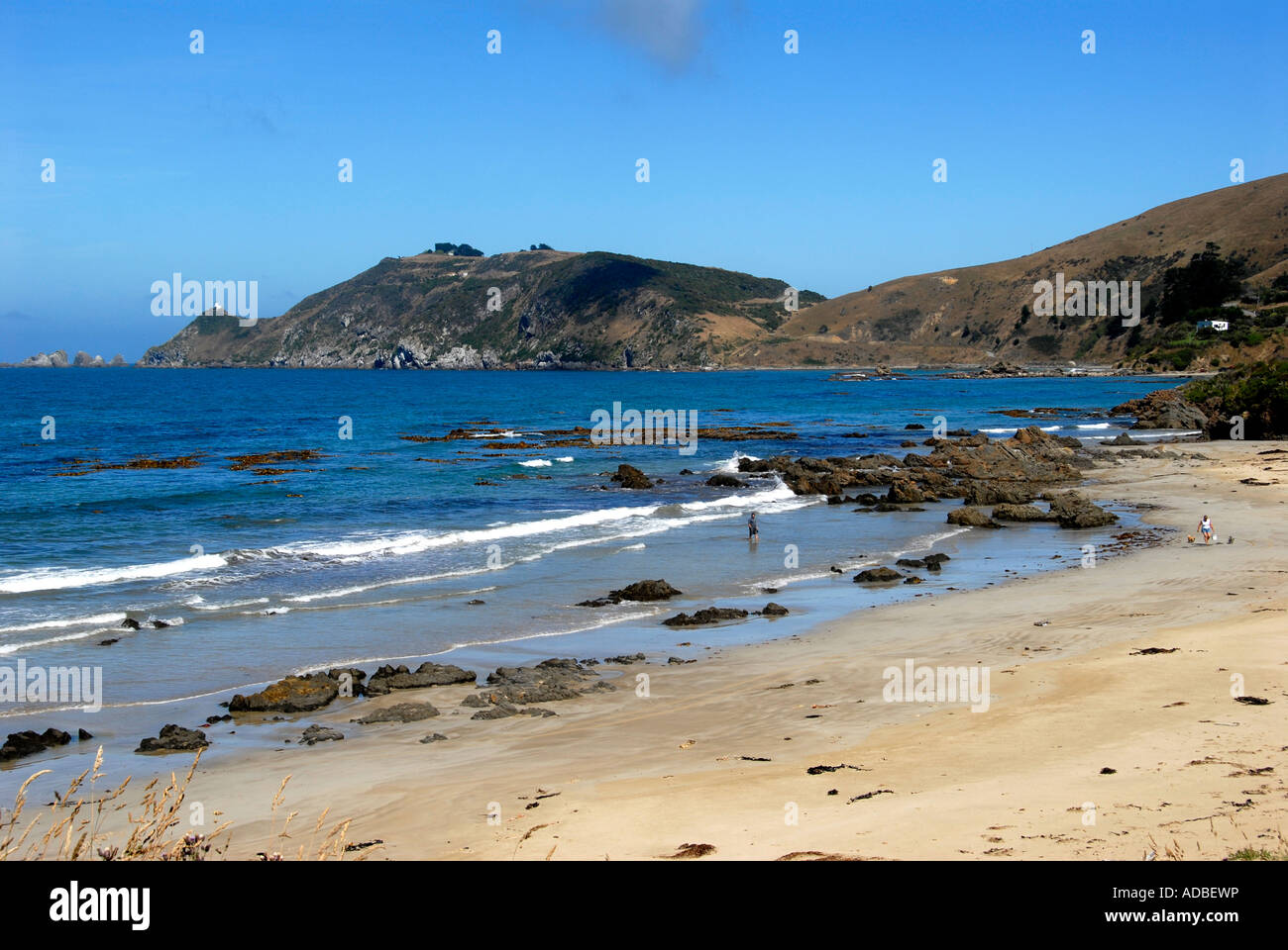 Nugget Point und Beach Catlins Südinsel Neuseeland Stockfoto