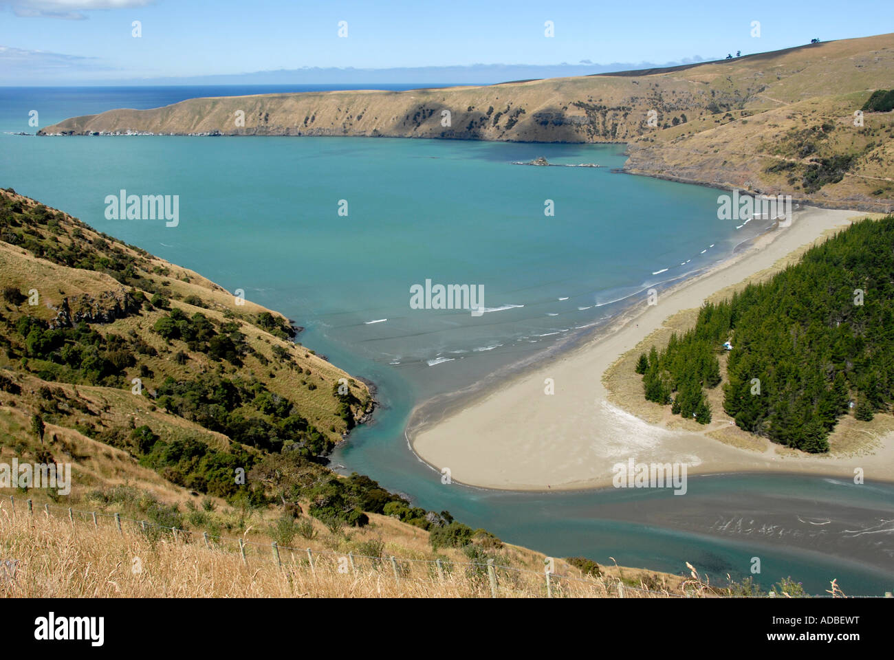 Strand von Okains Bay Banken Halbinsel Südinsel Neuseeland Stockfoto