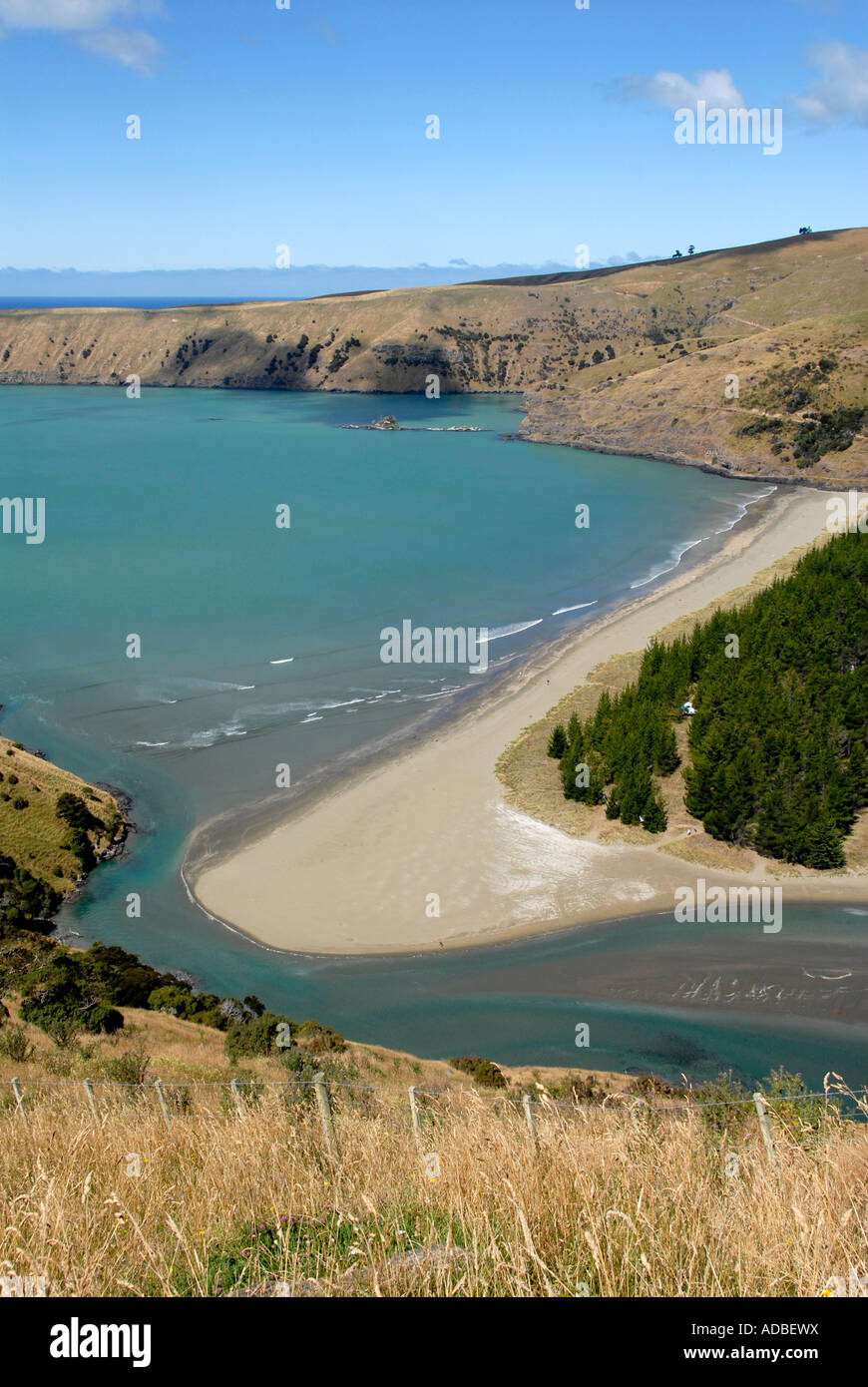 Strand von Okains Bay Banken Halbinsel Südinsel Neuseeland Stockfoto