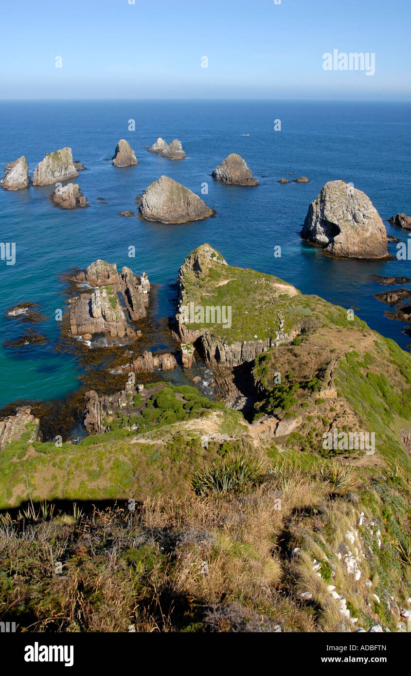Die Nuggets Nugget Point Catlins Südinsel Neuseeland Stockfoto