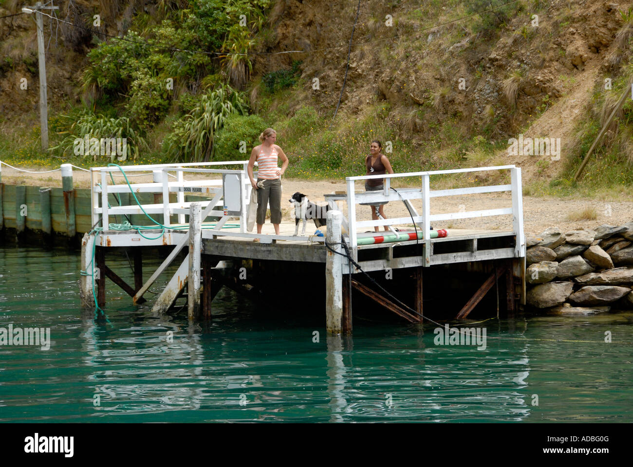 Zwei Frauen und Hund wartet auf post Pelorus Sound Südinsel Neuseeland Stockfoto