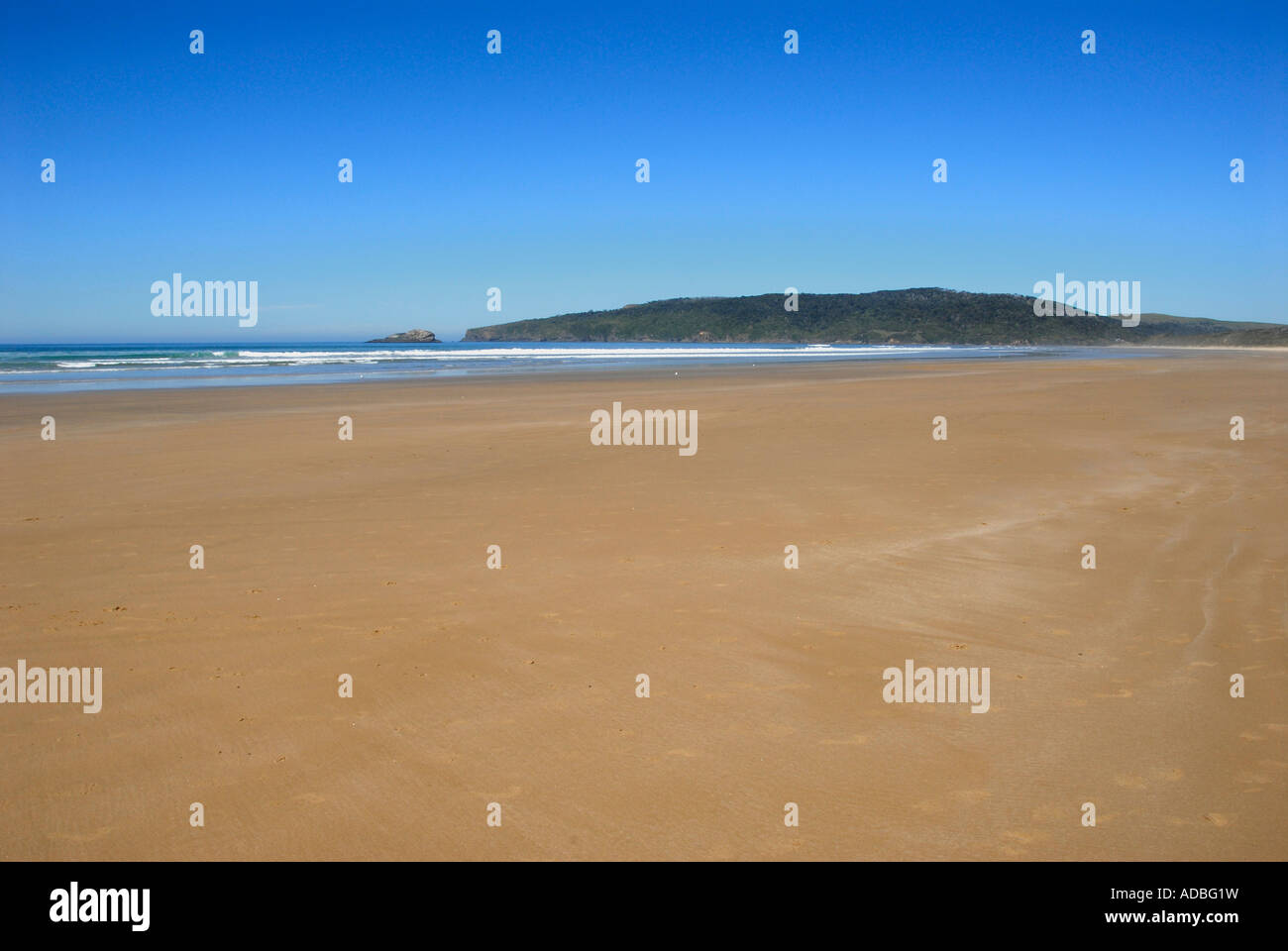 Waipati Beach Catlins Südinsel Neuseeland Stockfoto