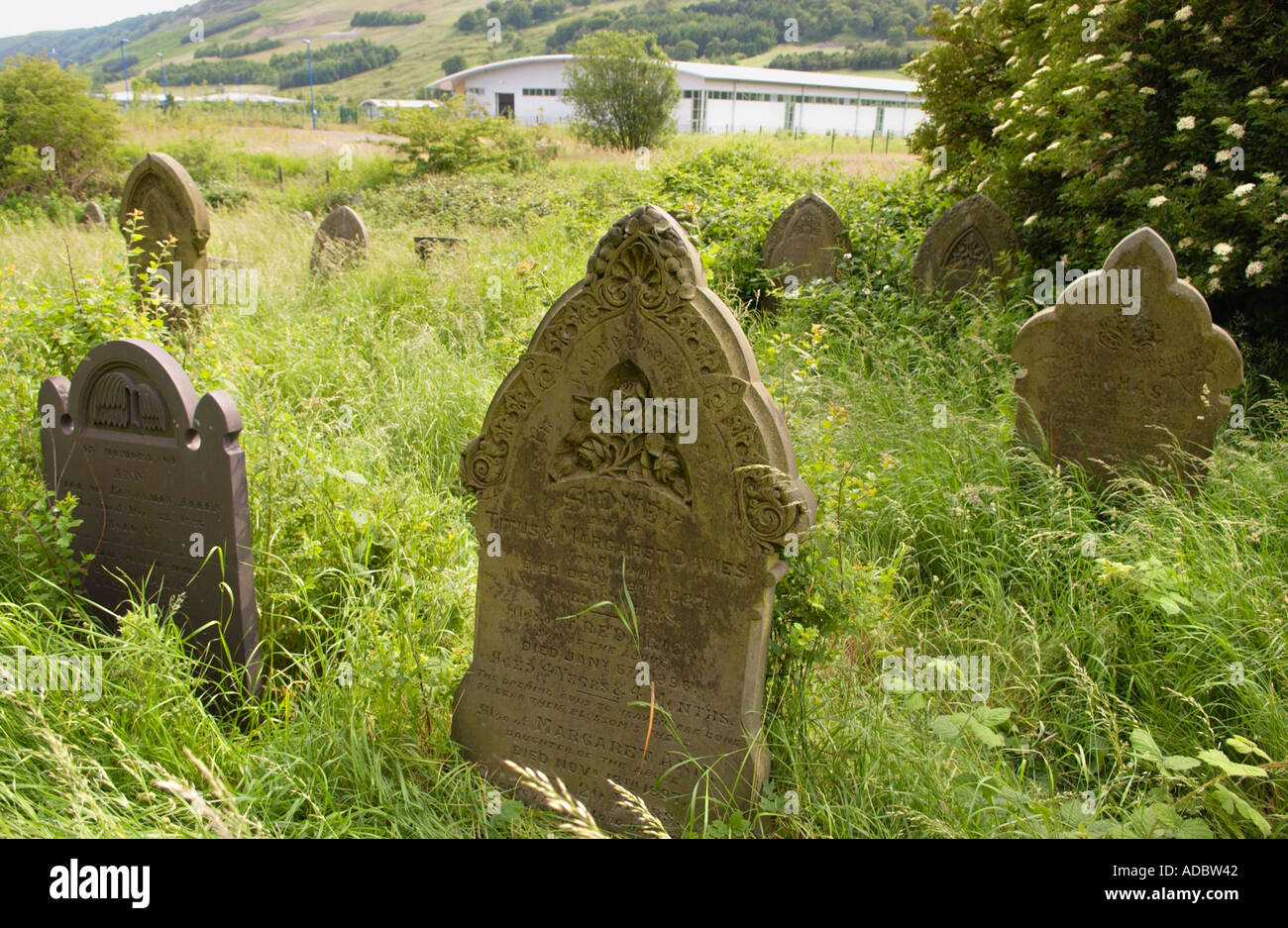 Verwilderten Friedhof in Berea Kapelle bei Blaina oder Gwent Wales UK 1842 erbaut und eröffnet für den Gottesdienst im Jahr 1850 Stockfoto Verwilderten Friedhof in Berea Kapelle bei Blaina oder Gwent Wales UK 1842 erbaut und eröffnet für den Gottesdienst im Jahr 1850 Stockfoto