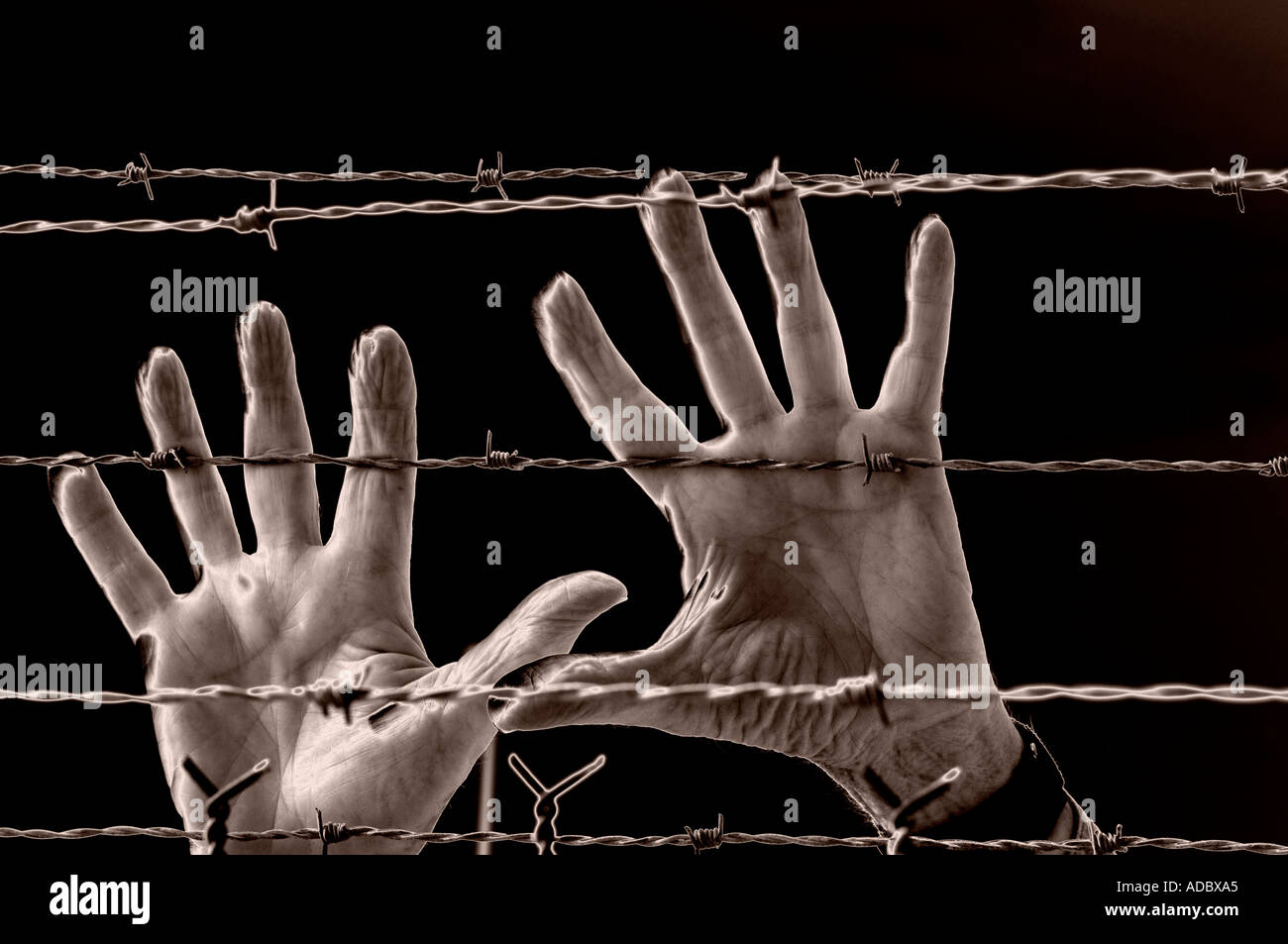 konzeptuelle Ansicht der Hände greifen nach Stacheldraht im Gefängnis Palisaden Stockfoto