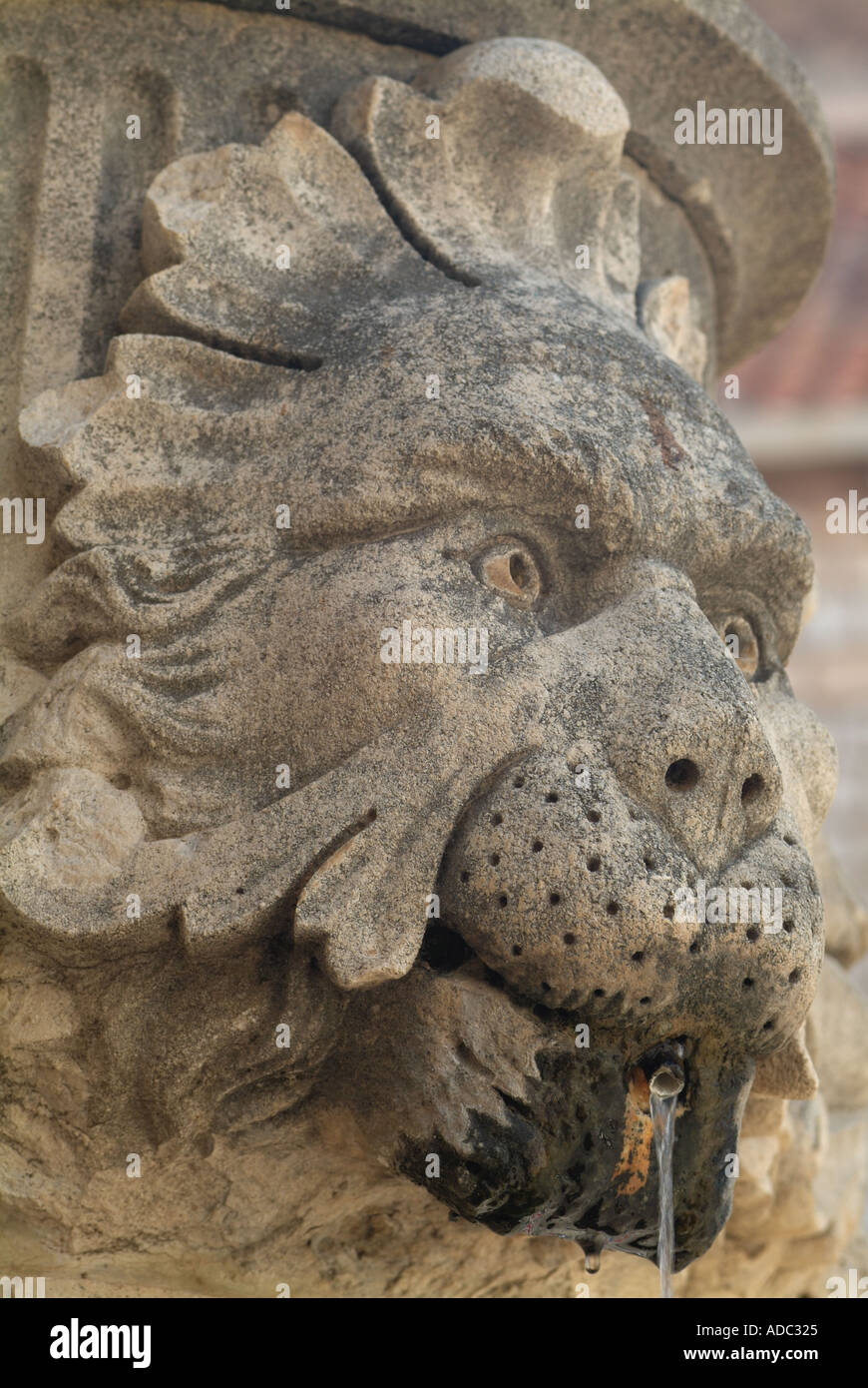 Löwen Kopf geschnitzt auf einem Brunnen in Gundulic Platz Altstadt von Dubrovnik Kroatien Stockfoto