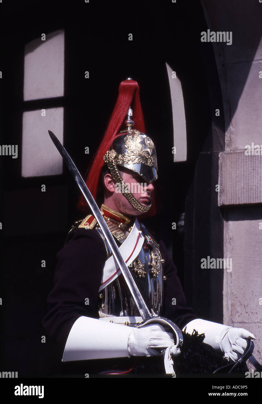 Blues & Royals Trooper, Horseguards Parade, Whitehall, London Stockfoto