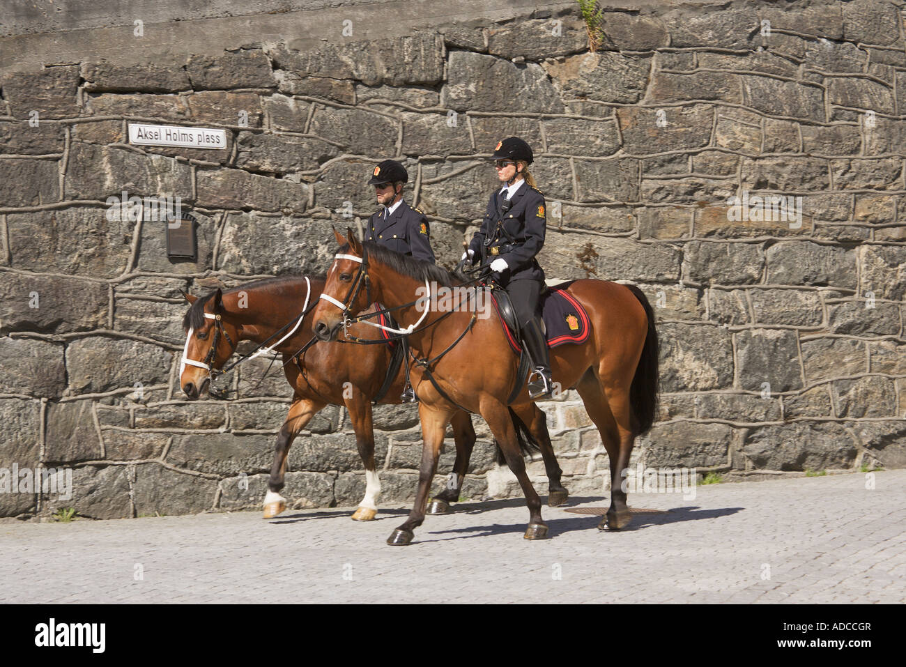 Montiert Polizisten Alesund mehr Og Romsdal-Norwegen Stockfoto