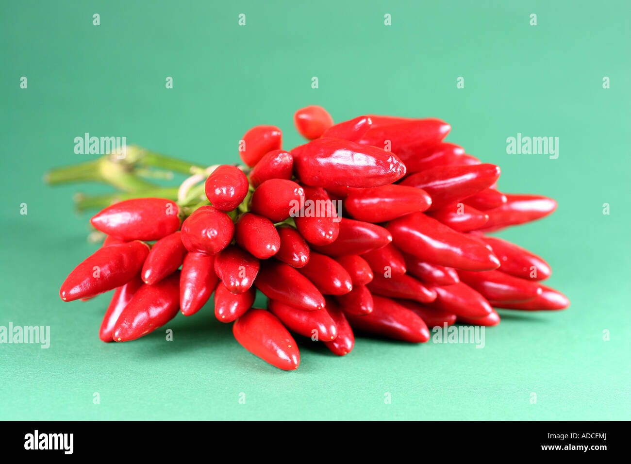 rote Paprika Stockfoto