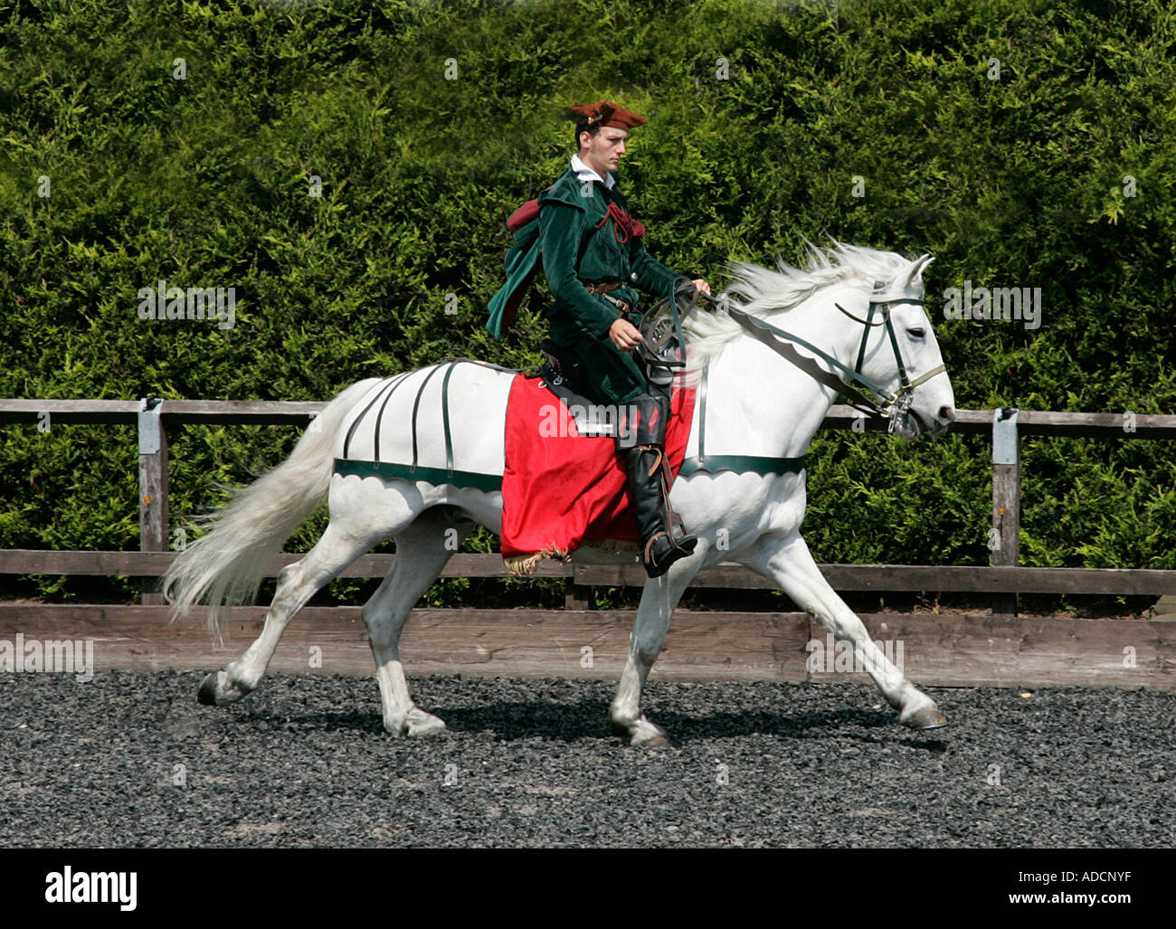 Mittelalterliche Ritter im Galopp sein Pferd Trooper Aktion Reiter