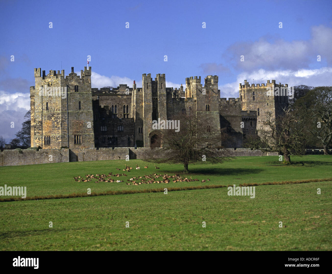 Raby Schloß Staindrop County Durham Stockfoto